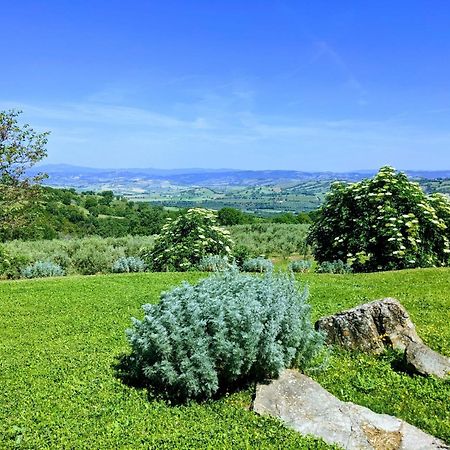 Agriturismo Podere Prataccio 그레세토 외부 사진