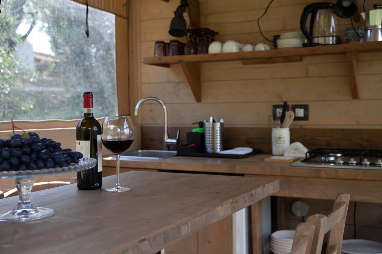 Agriturismo Podere Prataccio 스칸사노 외부 사진