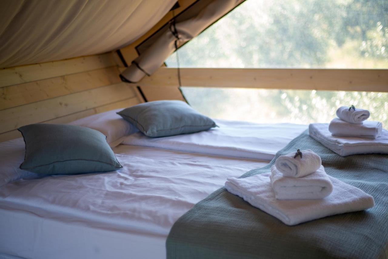 Agriturismo Podere Prataccio 스칸사노 외부 사진