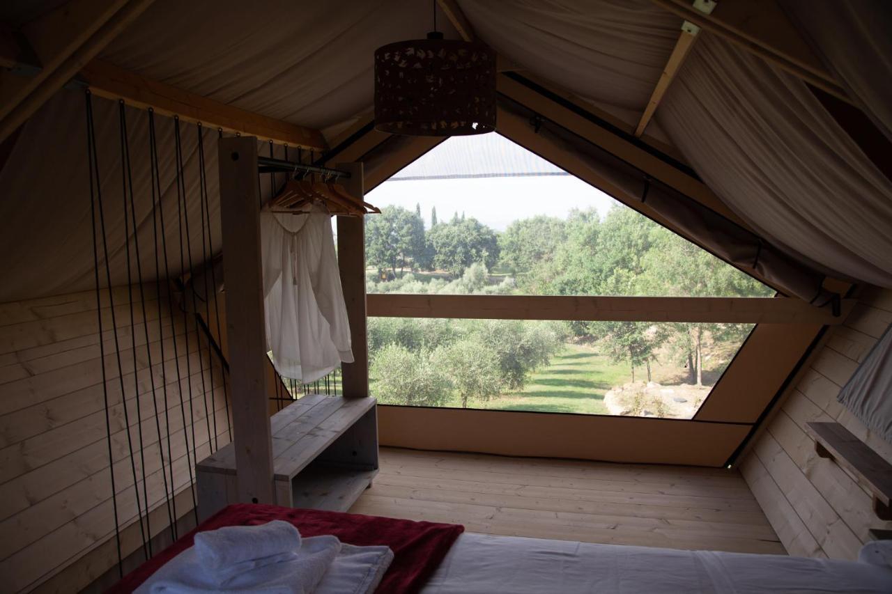 Agriturismo Podere Prataccio 그레세토 외부 사진