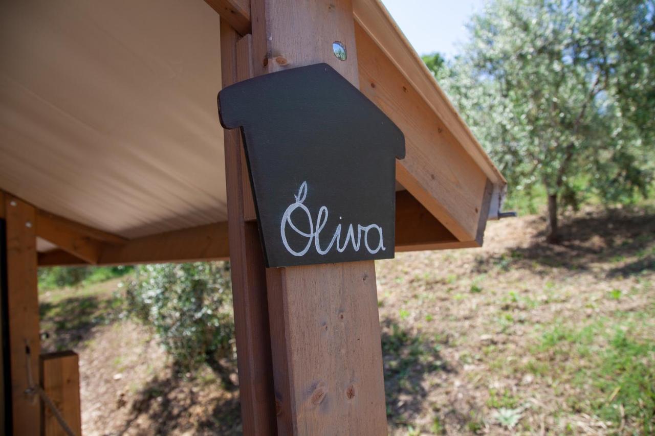 Agriturismo Podere Prataccio 그레세토 외부 사진