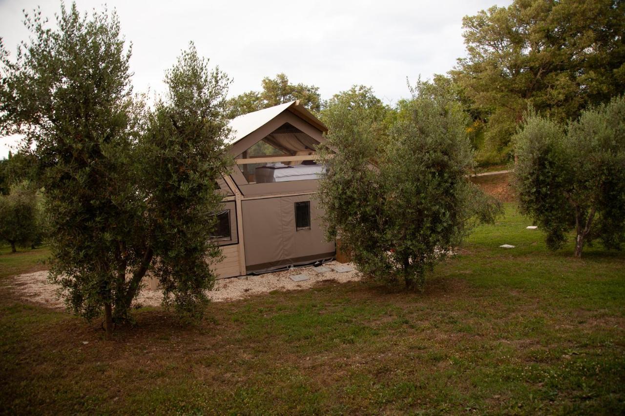 Agriturismo Podere Prataccio 그레세토 외부 사진