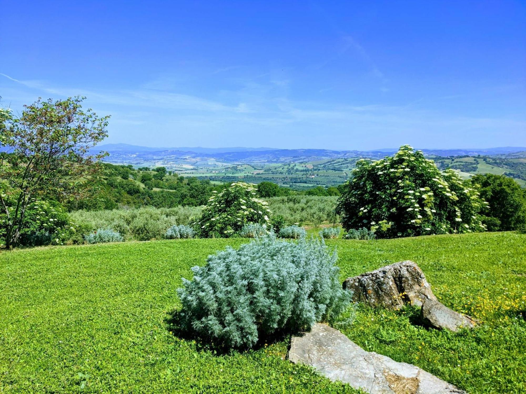 Agriturismo Podere Prataccio 그레세토 외부 사진
