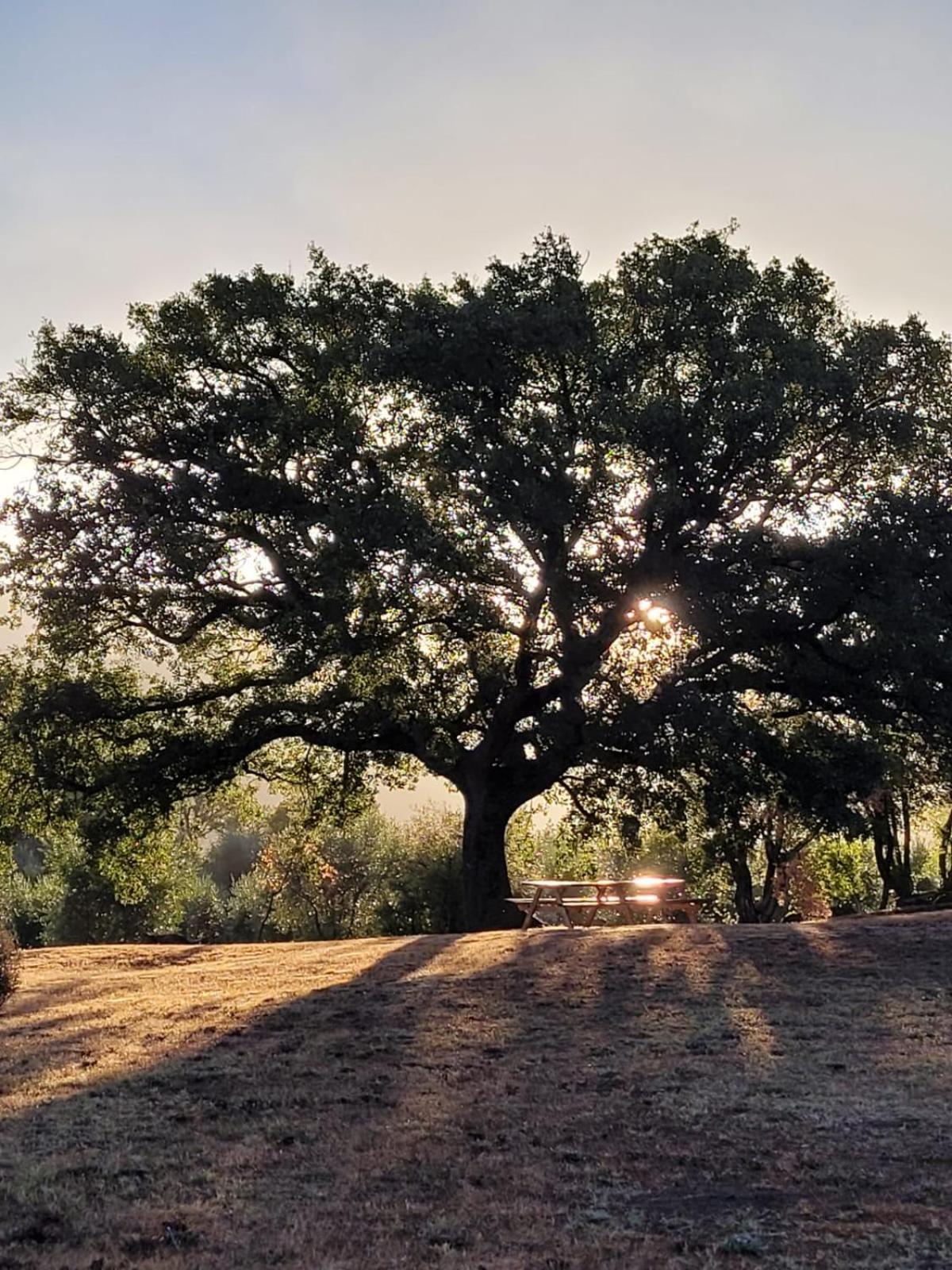 Agriturismo Podere Prataccio 그레세토 외부 사진
