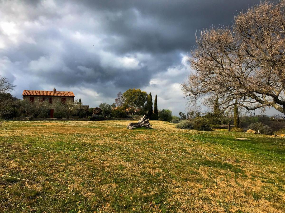 Agriturismo Podere Prataccio 그레세토 외부 사진